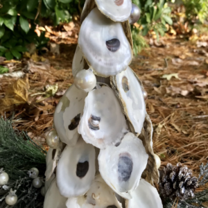 Oyster Shell Trees